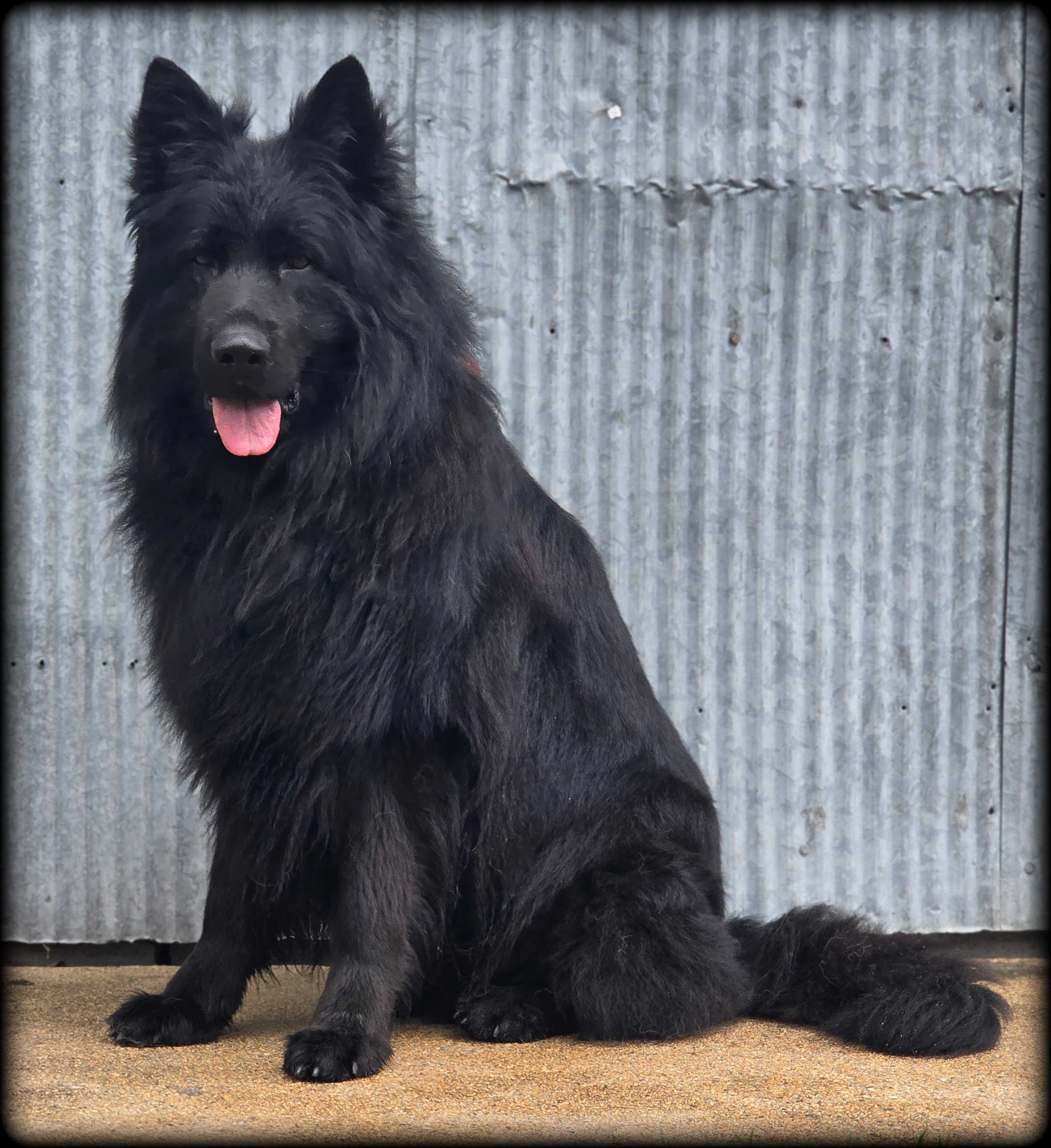 Picsart_24-05-01_21-37-43-750