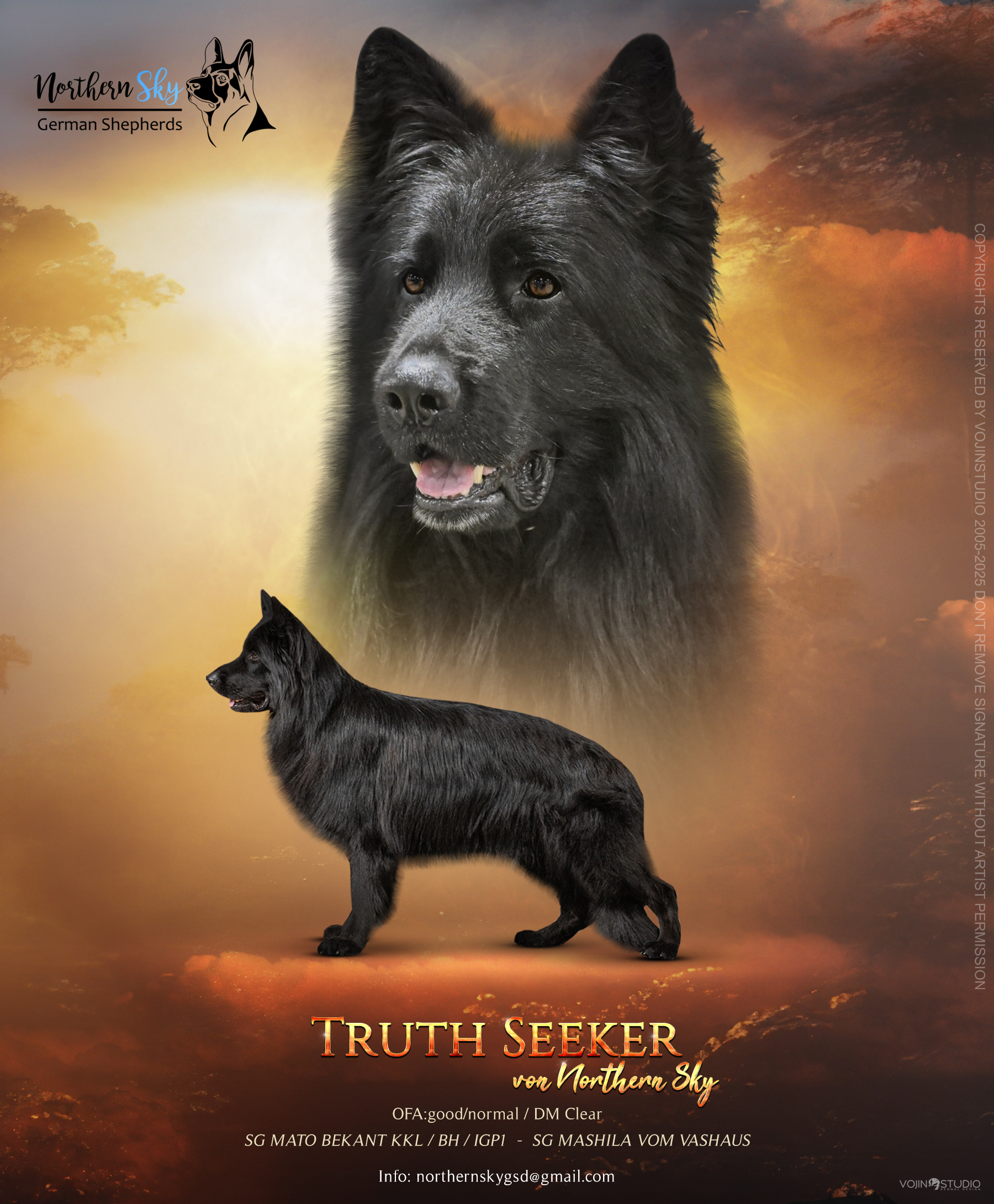 Lyndi Coulter Truth oktobar 2025