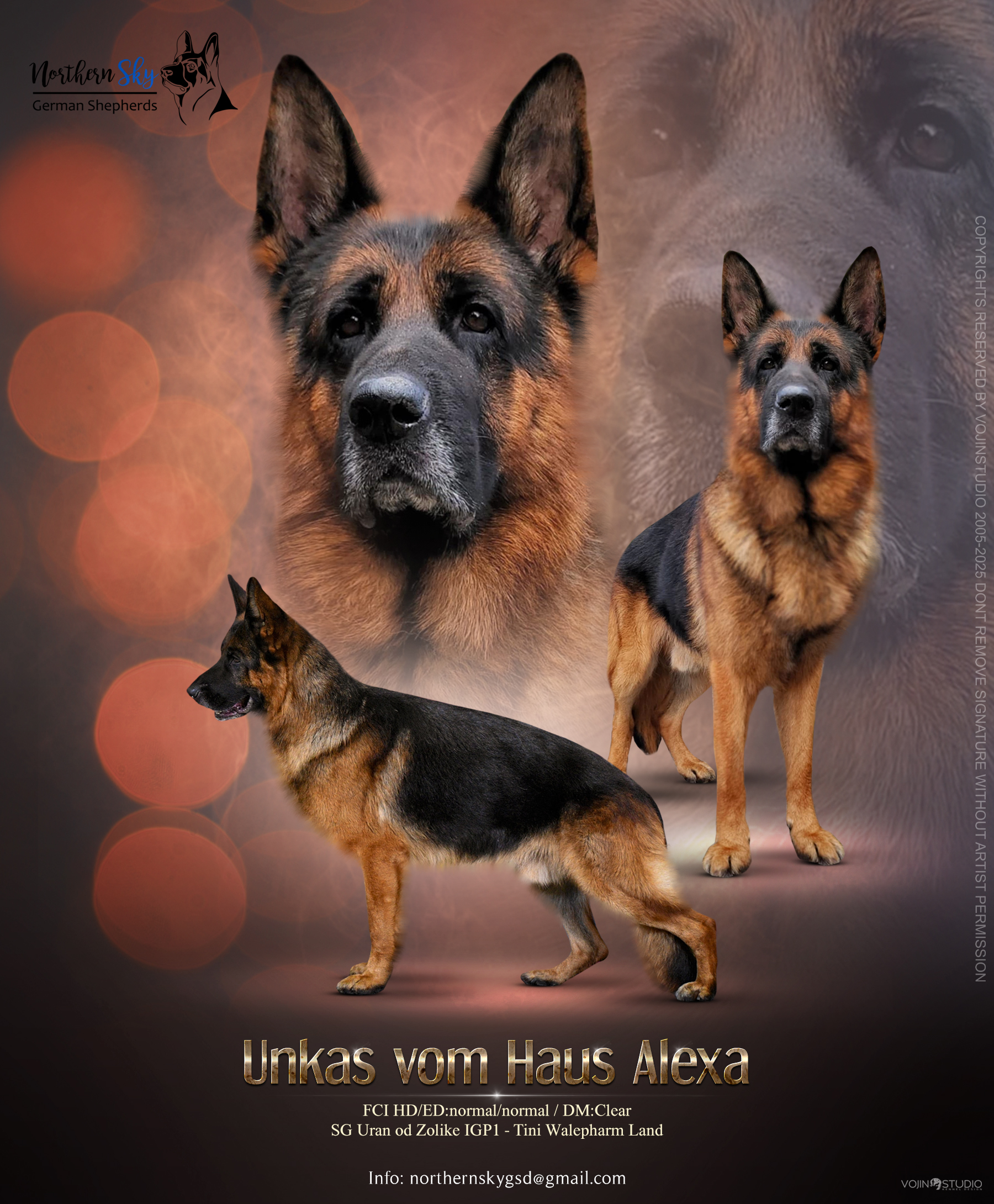 Lyndi Coulter Unkas oktobar 2025